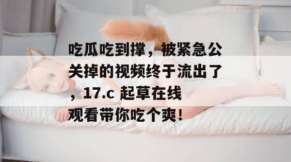 吃瓜吃到撑，被紧急公关掉的视频终于流出了，17.c 起草在线观看带你吃个爽！